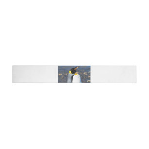 Penguin Portrait Wrap Around Label