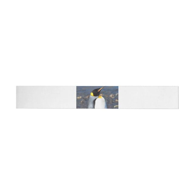 Penguin Portrait Wrap Around Label (Individual)