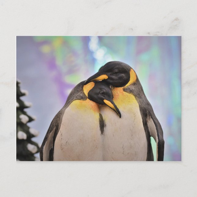 Penguin Postcard (Front)