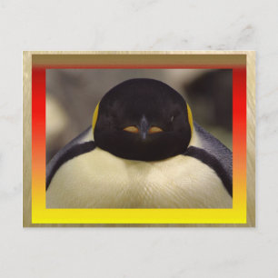 Penguin Postcard