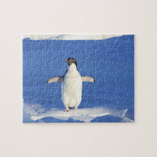 Penguin Puzzle