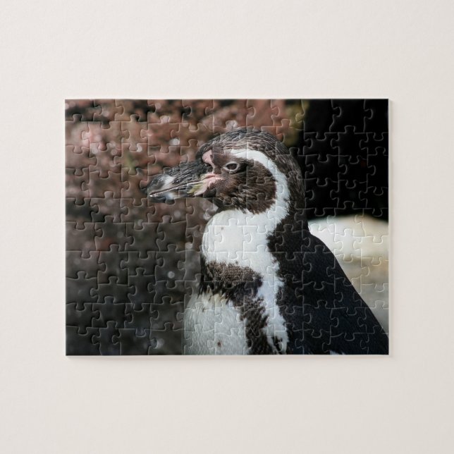 Penguin Puzzle (Horizontal)