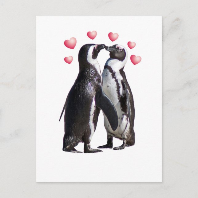 Penguin Romance Postcard (Front)