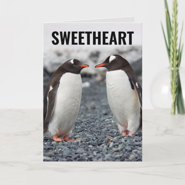 PENGUIN ROMANTIC LOVE funny greeting card (Front)