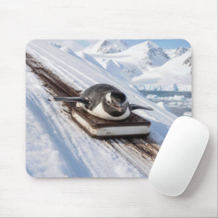 Penguin Sliding on an Ice Cream Sandwich Sled Mouse Pad