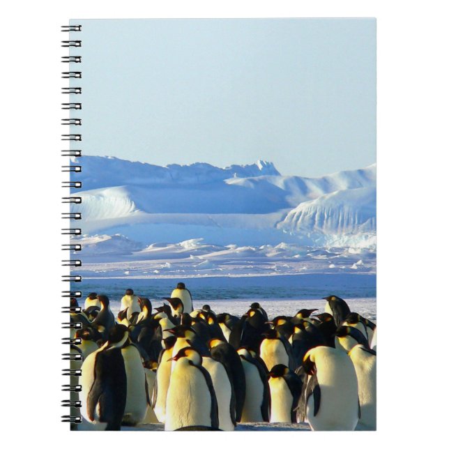 Penguin spiral notebook (Front)