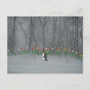 Penguin Spring Walk Postcard