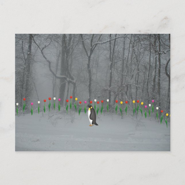 Penguin Spring Walk Postcard (Front)