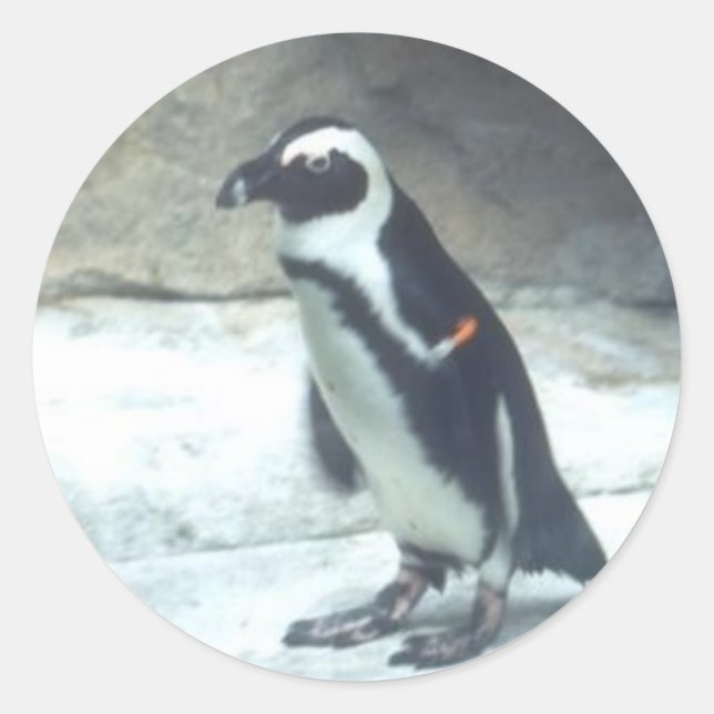 Penguin Sticker (Front)