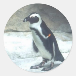 Penguin Sticker