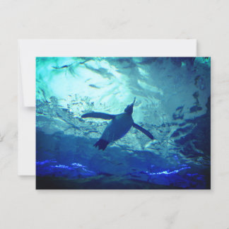 Penguin Swimming Postcard