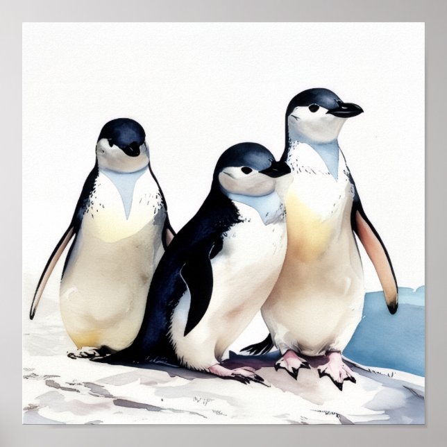 Penguin Trio Poster (Front)