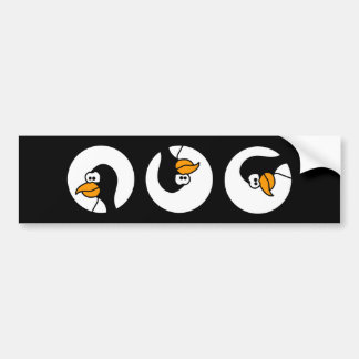Penguin turns in circles bumper sticker