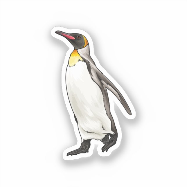 Penguin vector illustration (Front)