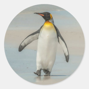 Penguin walking on the beach classic round sticker