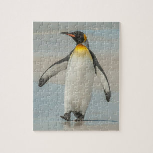 Penguin walking on the beach jigsaw puzzle