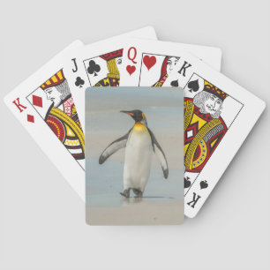 Penguin walking on the beach playing cards