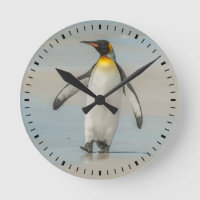 Penguin walking on the beach