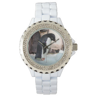 Penguin Watch- Many Styles to Chose From Watch