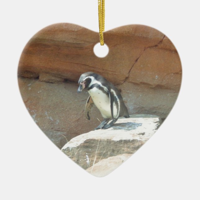 Penguin, Wildlife, Animal, Wild Bird, Zoo, Summer Ceramic Ornament (Front)