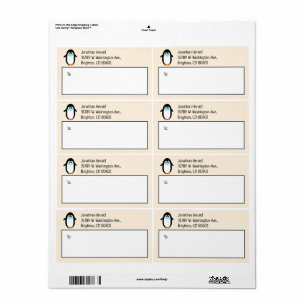 Penguine with Mask Christmas Shipping Label