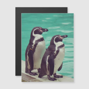 Penguins
