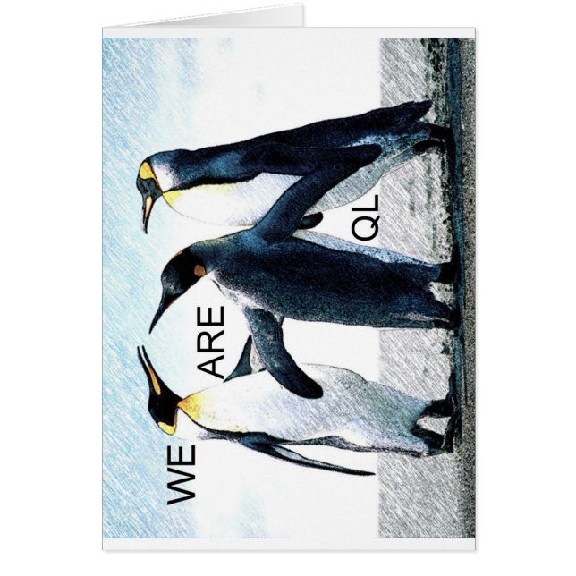 penguins (Front)