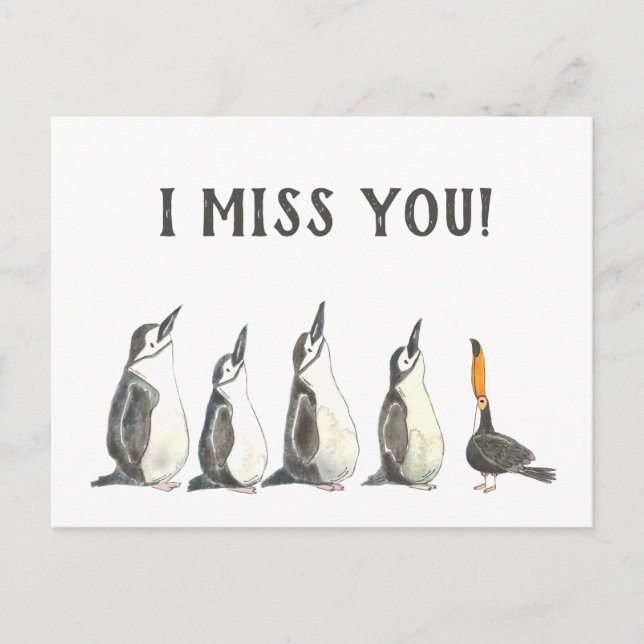 Penguins and a Toucan Cute I Miss You Teachers Postcard (Front)
