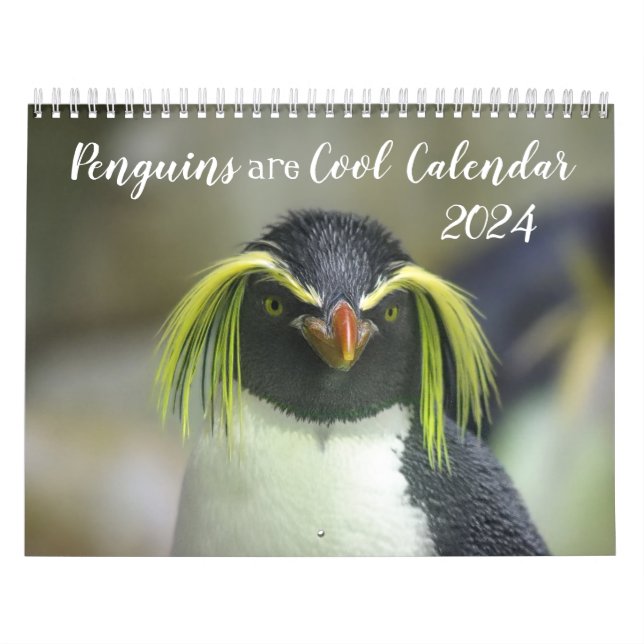 Penguins are Cool Calendar 2024 with Descriptions (Cover)