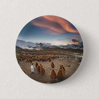 Penguins at Sunset 6 Cm Round Badge