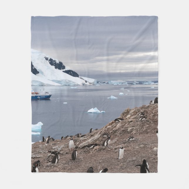 PENGUINS BESIDE SEA FLEECE BLANKET (Front)
