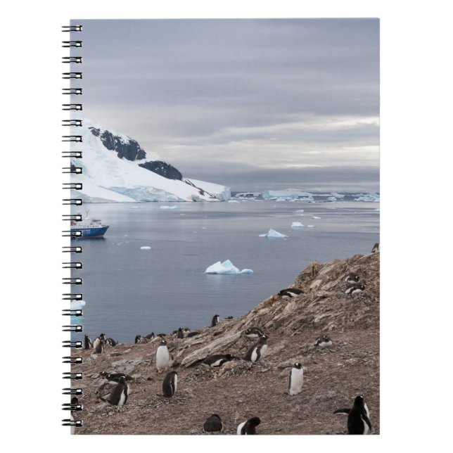 PENGUINS BESIDE SEA NOTEBOOK (Front)