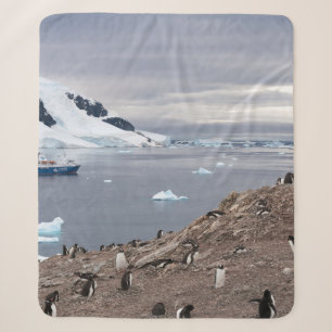 PENGUINS BESIDE SEA SHERPA BLANKET