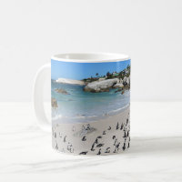 Penguins Boulders Beach | South Africa