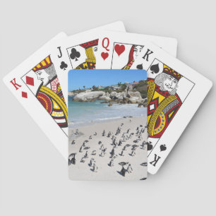 Penguins Boulders Beach   South Africa Playing Cards