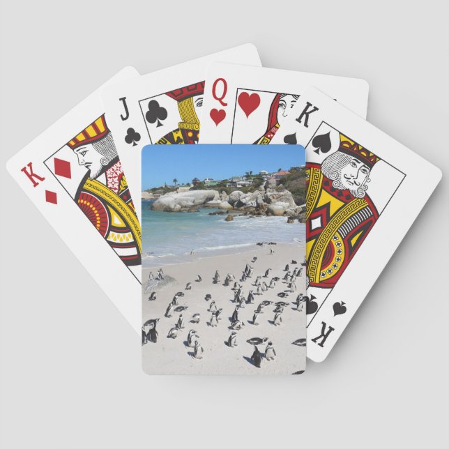 Penguins Boulders Beach | South Africa Playing Cards (Back)