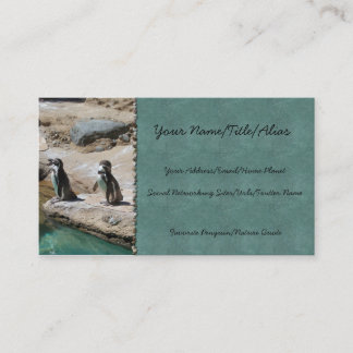 Penguins Business Card
