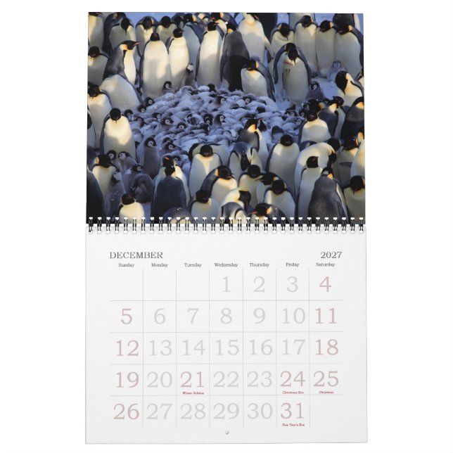 Penguins Calendar (Dec 2027)