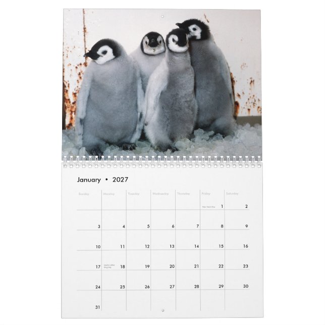 Penguins Calendar (Jan 2027)