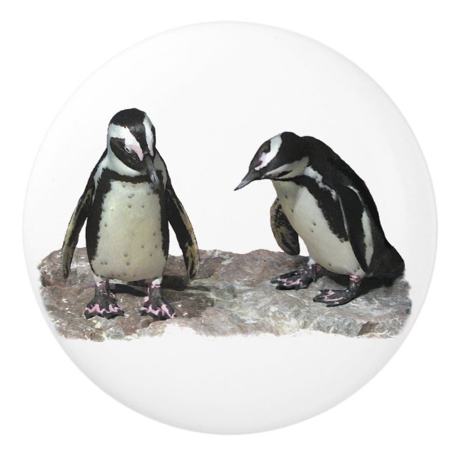 Penguins Ceramic Knob (Front)