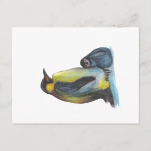 Penguins Drawing Postcard