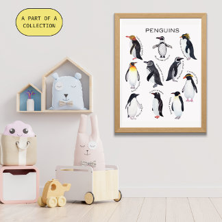 Penguins Educational Poster 