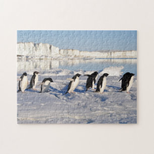 Penguins Game Puzzle