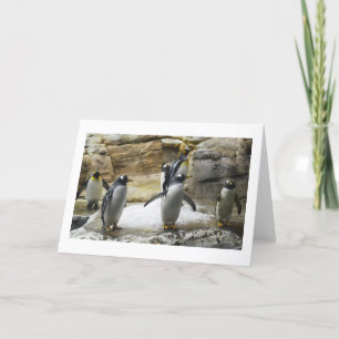 Penguins Holiday Card