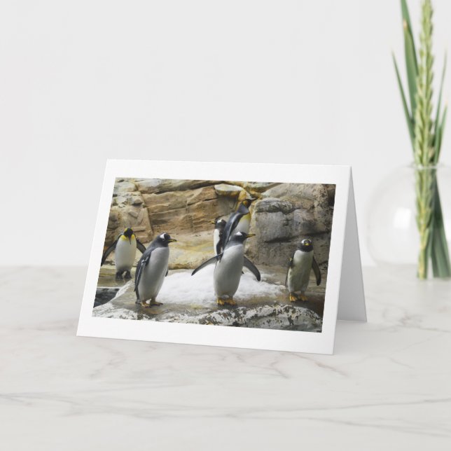 Penguins Holiday Card (Front)