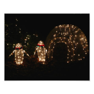 Penguins Holiday Light Display Photo Print
