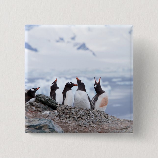 Penguins in Antarctica 15 Cm Square Badge (Front)