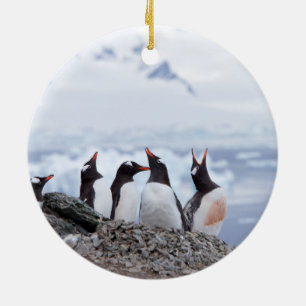 Penguins in Antarctica Ceramic Ornament