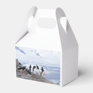 Penguins in Antarctica Favour Box