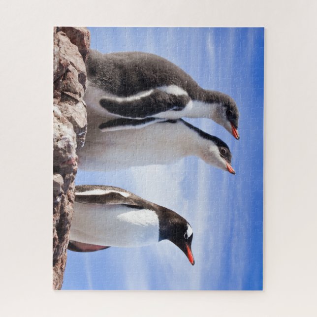 Penguins in Antarctica Jigsaw Puzzle (Vertical)